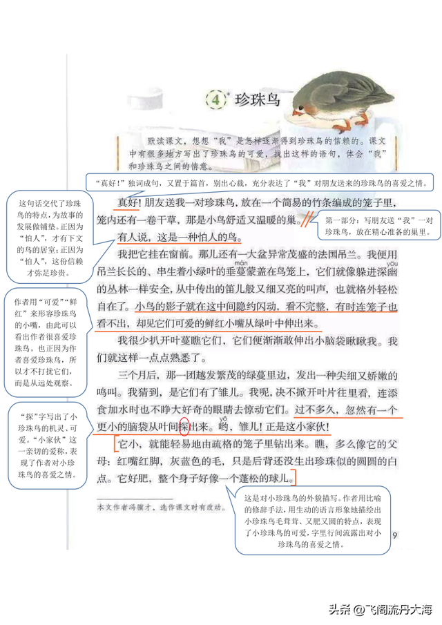 享的拼音，享的拼音组词（小学五年级上语文4课《珍珠鸟》课堂笔记、阅读题及练习题）