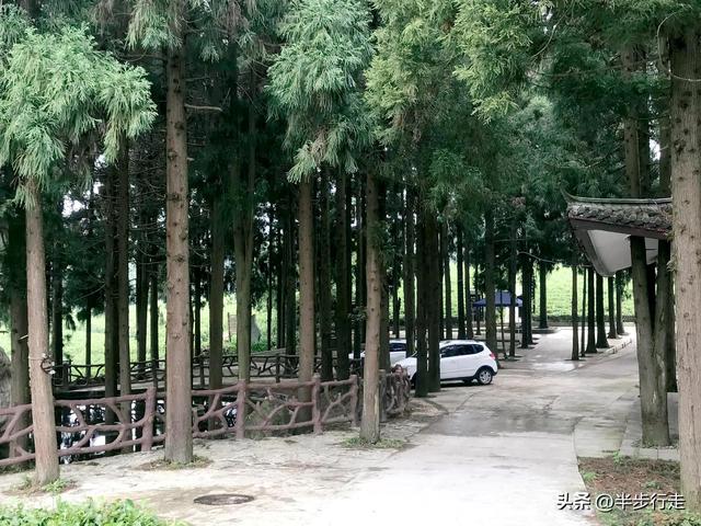 石门一日游景点，湖南石门县白云山国有林场旅行攻略