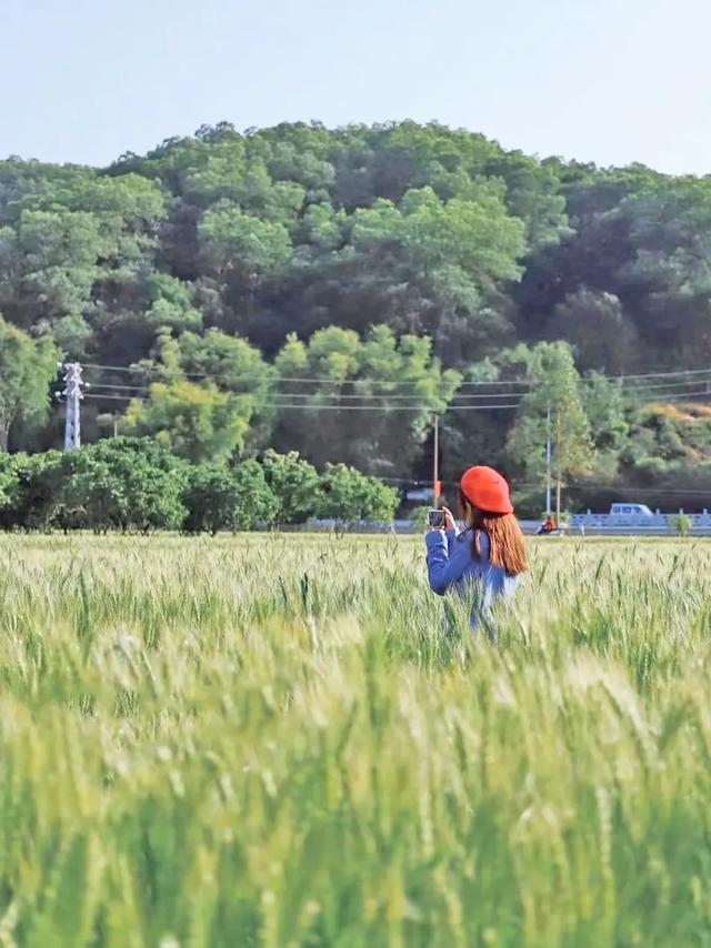 从化旅游景点大全，从化一日游旅游攻略大全（打卡吕田鹰嘴桃花+罗洞工匠小镇麦浪+莲麻小镇）