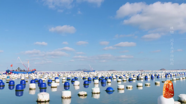 浙江舟山嵊泗海岛，围观海洋牧场