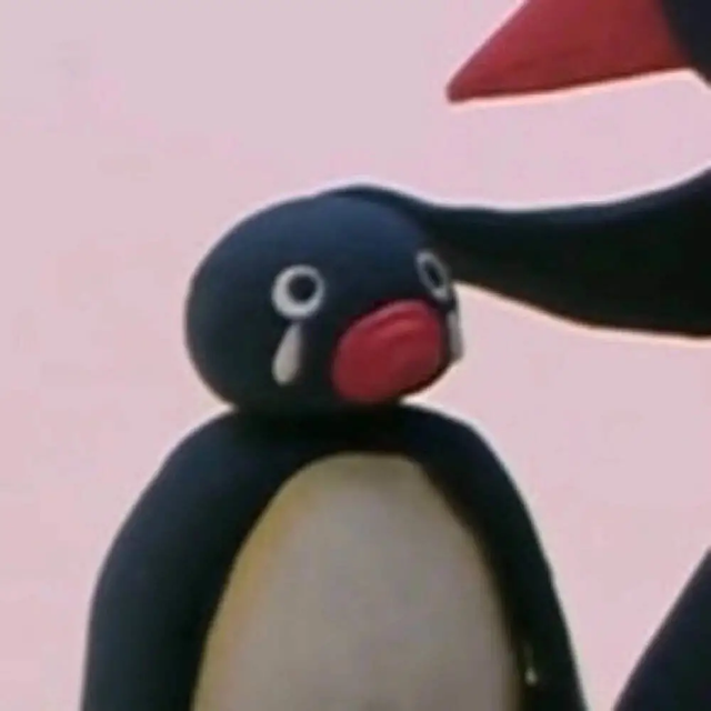 令人哭笑不得的南极企鹅，小企鹅迷路竟从南极游3000公里到新西兰