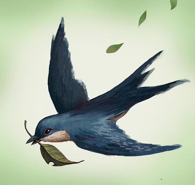 麻雀的寓意和象征，麻雀好的意义是什么（不富也喜”是哪两种鸟）