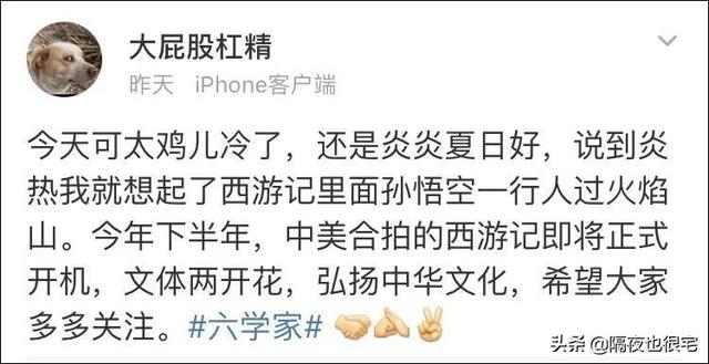 金坷垃是什么，金坷垃是什么时候火的（B站曾试图垄断哪些亚文化商标）