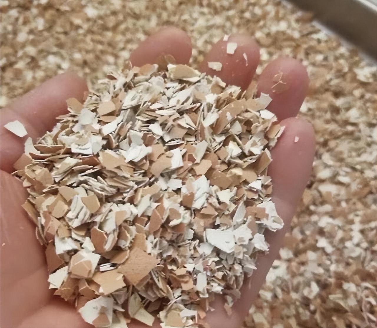 花肥用什么肥料好，养花用什么肥料（家里“5种”东西）