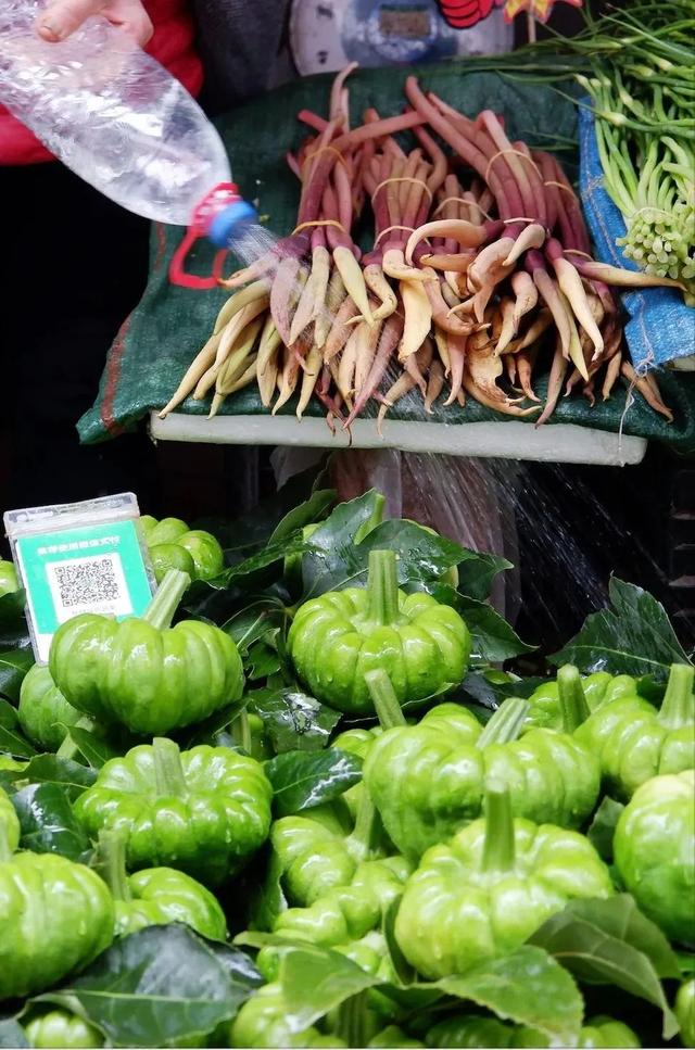 云南最好吃的野生菌在哪，中国最浪漫城市非她莫属