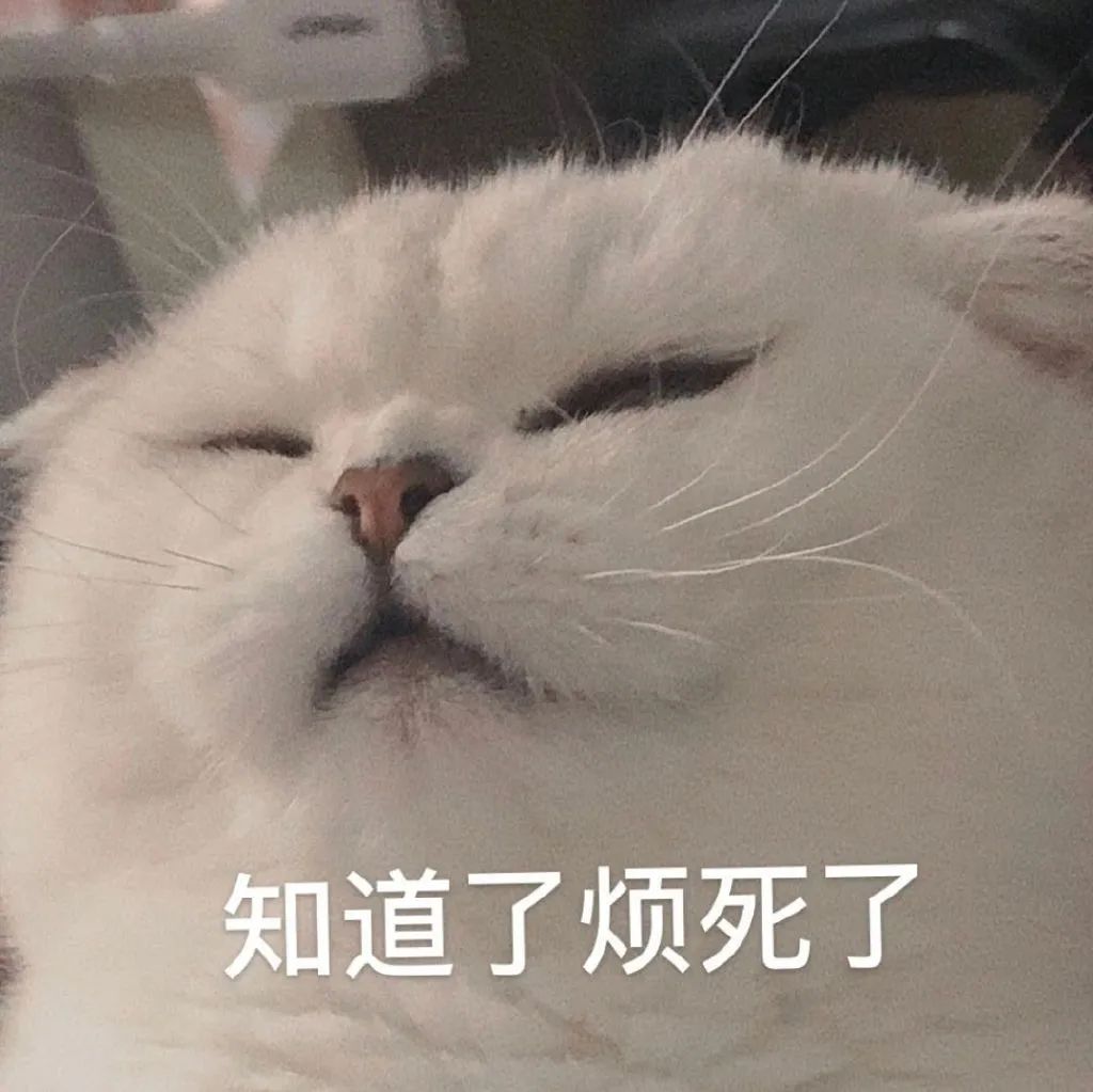 母猫做绝育手术多少钱 猫绝育针多少钱一支