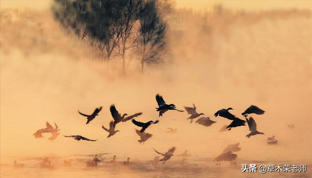 史铁生的代表作，史铁生代表作有小说什么（《史铁生作品精选》）