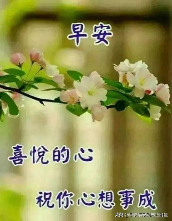 发自拍照的励志语录，适合发自拍照的句子正能量（早安励志正能量精辟短句子）