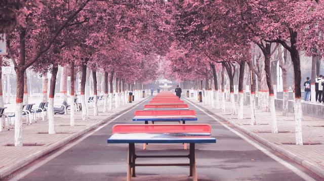 成都铁路卫校如何_管理好不好，成都铁路卫校（成都升学率高的卫校有哪些）