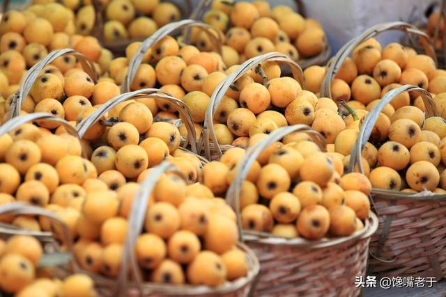 怎么挑选嘉宝果，怎么挑选嘉宝果选树叉多的好吗（惊蛰过后：无论有钱没钱）