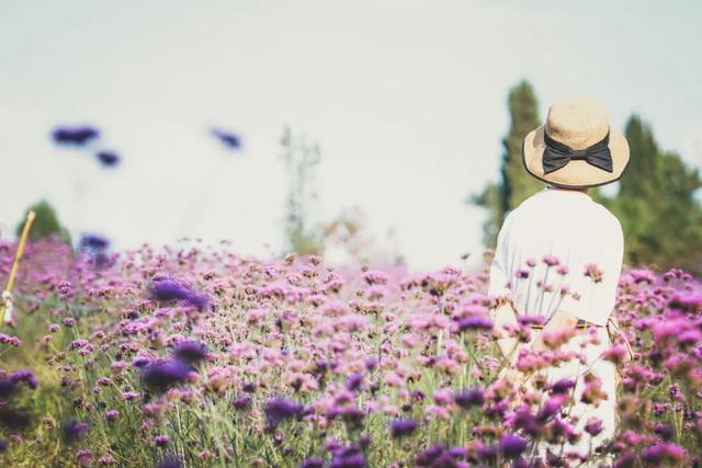 简短动人情话，简短动人情话句子（撩人情话最暖心的短句）