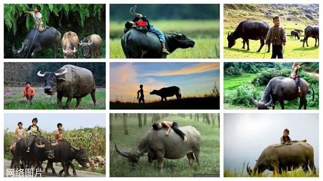 家人幽默群名4个字，家人微信群名称大全霸气搞笑幽默（六个“放牛娃”组建微信群）