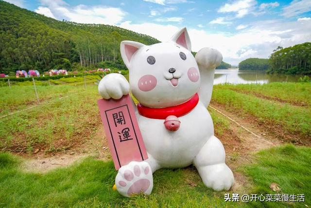 肇庆旅游景点，肇庆旅游景点大全景点排名（12个景点打卡大盘点）