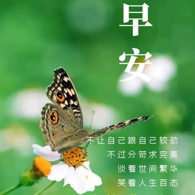 03年属什么生肖，03年属什么（2023年04月03日）
