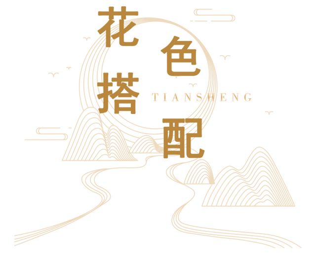 阿姆斯壮地板怎么样，阿姆斯壮pvc地板价格（领略阿姆斯壮塑胶地板之美）