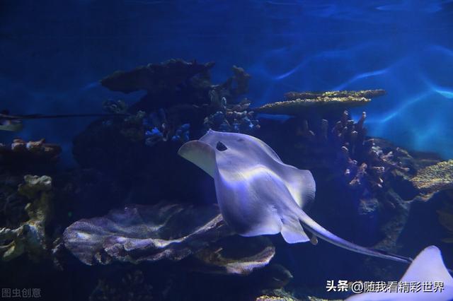 去大连旅游要多少钱，大连三日游最佳安排（来辽宁必打卡的八处景点——大连篇）