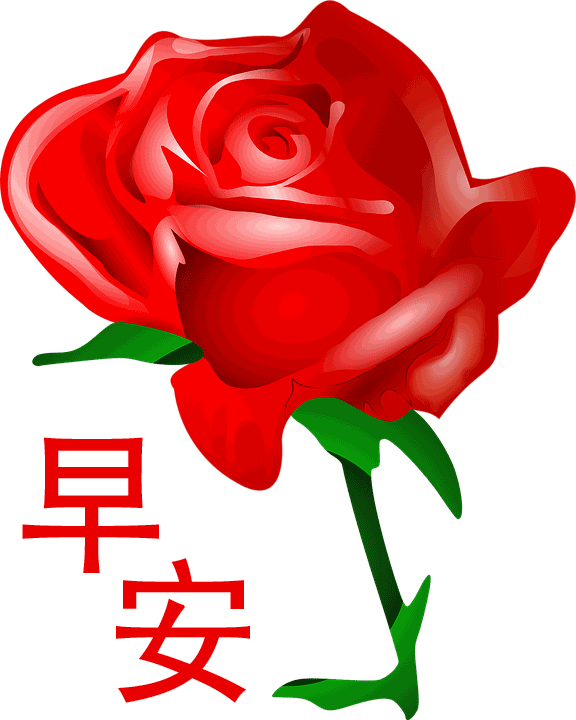 充满阳光正能量的文字图片，充满阳光正能量的说说配图（早安心语，正能量最美语录说说）