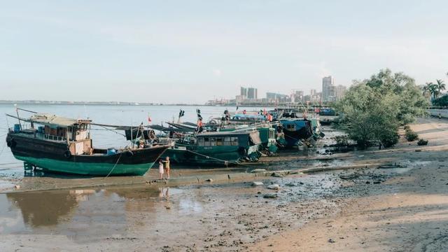 湛江市区一日游最好线路，蓝海之滨——超全湛江旅游攻略