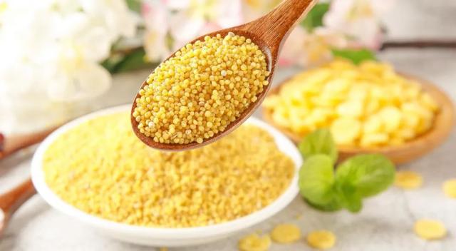 粟米和小米的区别，做一个会养生的干饭人——食疗粥方之粟米