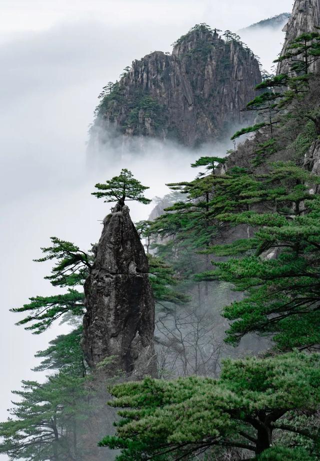 黄山云海奇观美景，黄山又现云海奇观 宛若仙境