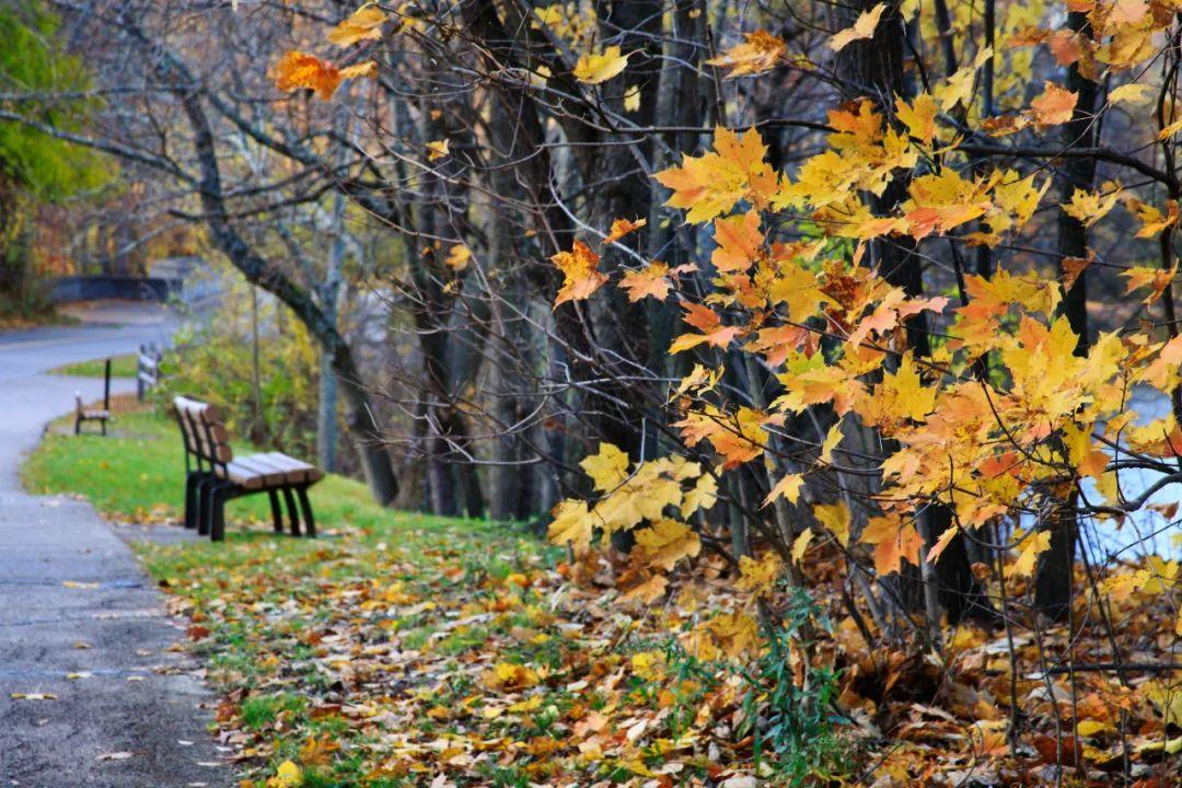 中秋节祝福成语，中秋节祝福成语幼儿园（秋天的美好，尽在这些成语中）