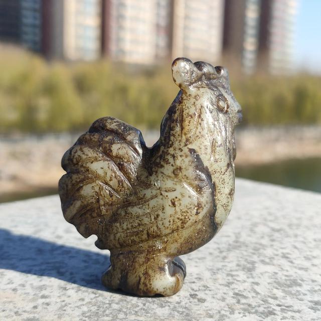 鸡的霸气语录，山鸡霸气语录（替俺的小公鸡辩解两句）