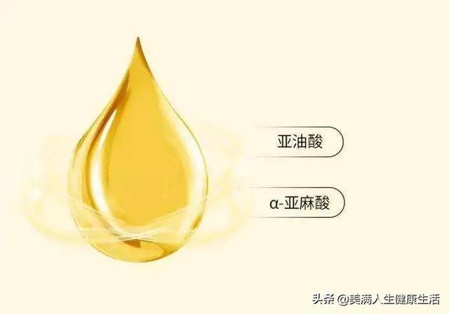 火麻油怎么吃，长寿之乡的饮食密码（什么是麻油）