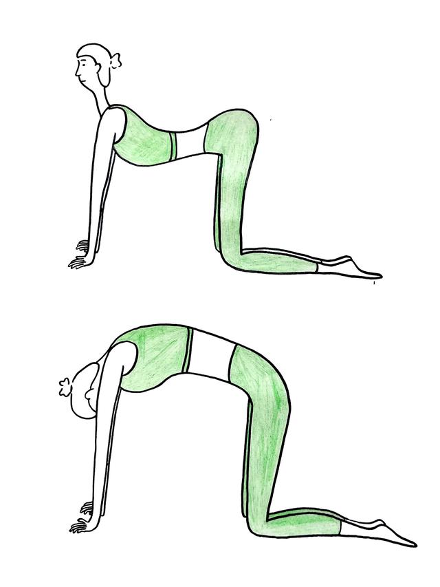 简单的牛怎么画，学习简单画牛的方法（极简画瑜伽体式08——猫牛式）