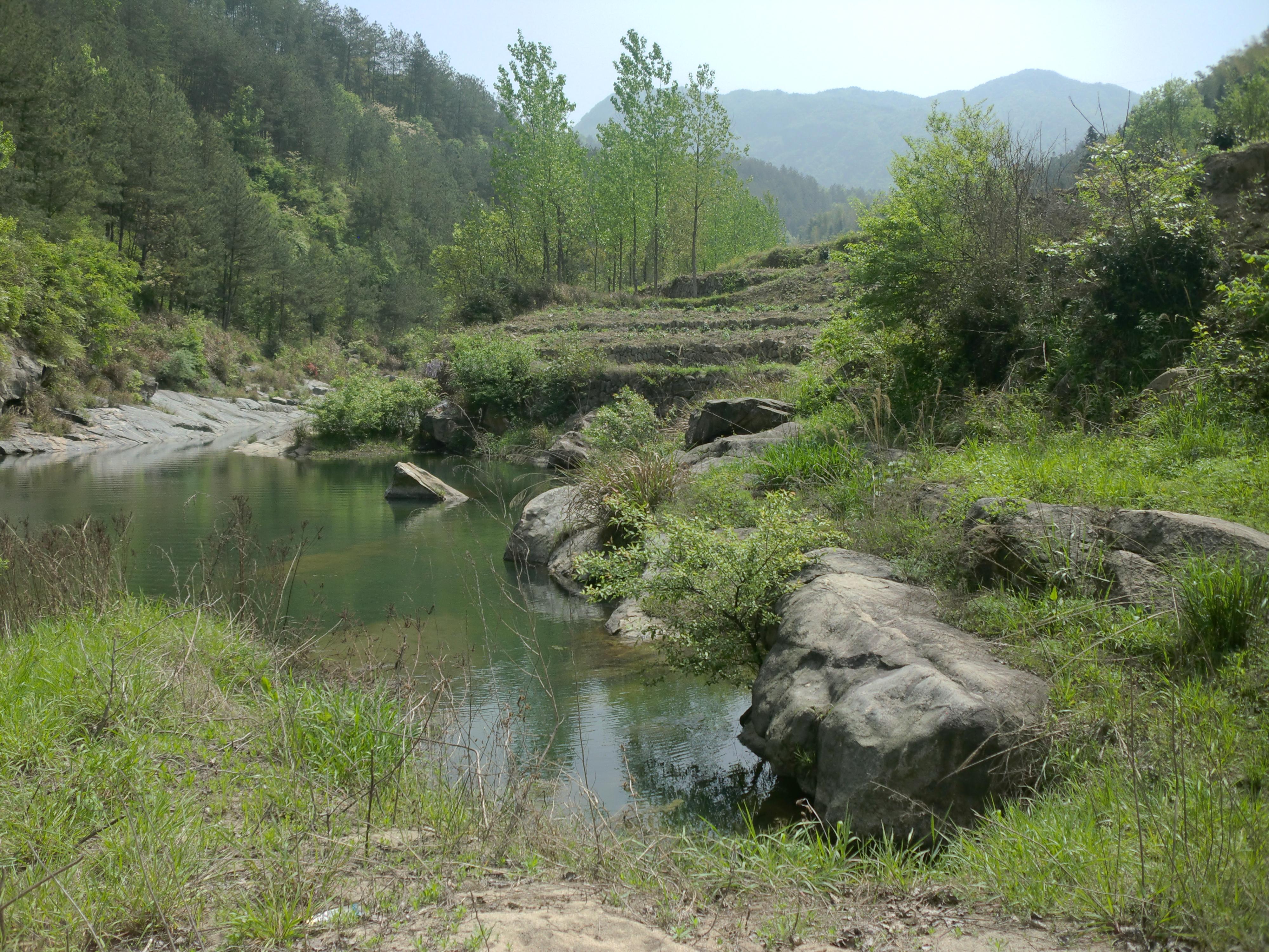 钓鱼人必备：100种野生鱼高清图鉴大全，助你识鱼辨种、提升垂钓实战技巧