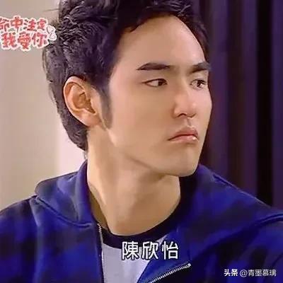 台湾爱情电视剧，台湾电视剧大全（盘点那些年我们追过的台湾偶像剧男女主）