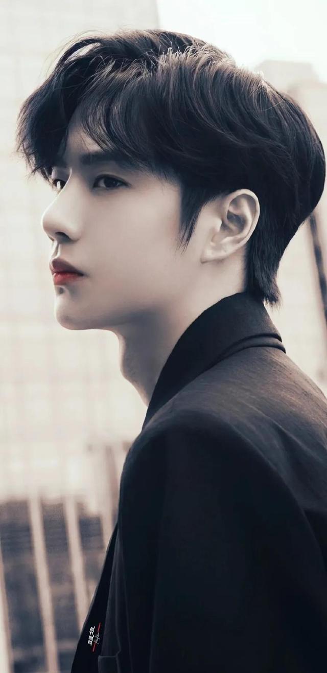 洛阳白牡丹——王一博，为什么叫王一博洛阳白牡丹（洛阳白牡丹—王一博图片）