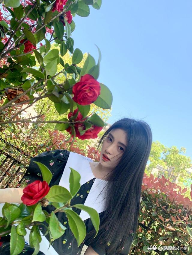 花园里的洋娃娃，妹妹背着洋娃娃歌词（人气美女鞠婧祎晒花园美照）