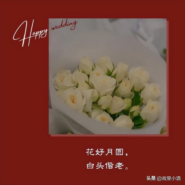 新婚祝福简短话，新婚祝福小短句（新婚祝福语：举案齐眉）