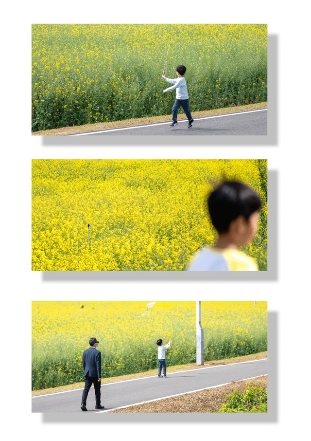 成都春季徒步一日游，徒步、骑行...浪漫一日游
