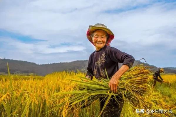年成是什么意思，惊蛰打雷是什么意思（好年成；立夏不起阵）