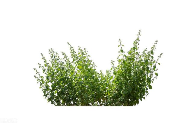 5月20对老公说的话，对老公说的话（致明天的520…给我老公）