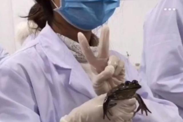 女生学医学影像学影响身体吗，女生千万不要学医学影像（看了她们上课的日常状态）