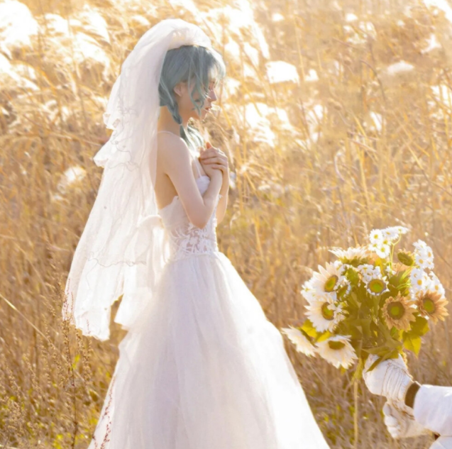 车窗背景图/花有重开日 人亦有重逢时，花有重开之日,人有重逢之时背景图（可以置顶的浪漫文案）