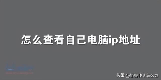 网站的ip地址怎么查看，如何查看某网站服务器的IP地址（怎么查看自己电脑ip地址）