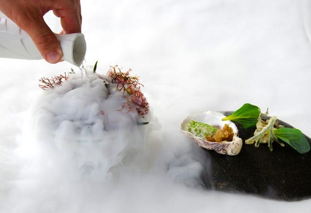 自制冰块的做法，自制冰沙的做法（用“冰”打造爽口菜肴）