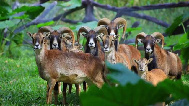 海口旅游景点，海口旅游景点地图全图（海口经典线路推荐）