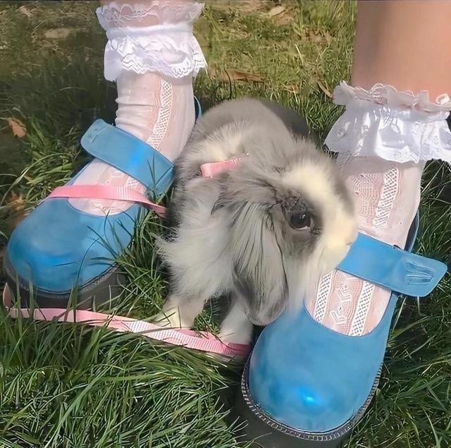 温柔的图片唯美，ins温柔唯美治愈系背景图，微信头像（生活明朗 万物可爱）