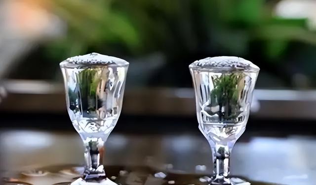 去亲家带四样礼物，去见亲家带哪四样礼物（嘉兴大叔拜访东北亲家）