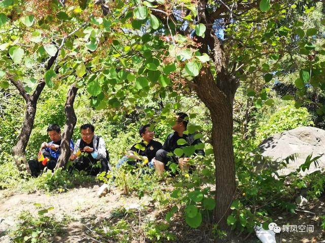 北京西山森林公园，北京西山森林公园登山路线推荐（西山国家森林公园）