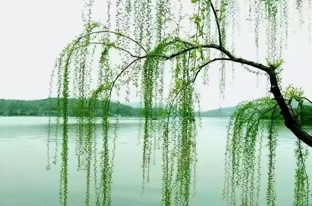 如何评价鱼玄机的一生，鱼玄机：天才女诗人三遇渣男