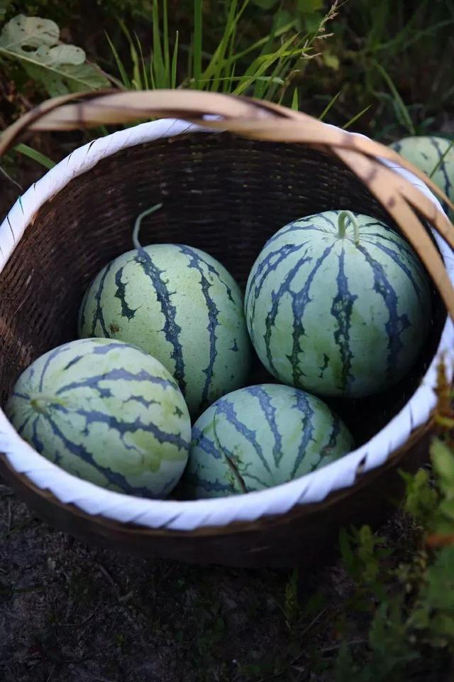 2021年精选高三励志语录50句，2021高考经典语录（简短唯美的高考励志句子50句）