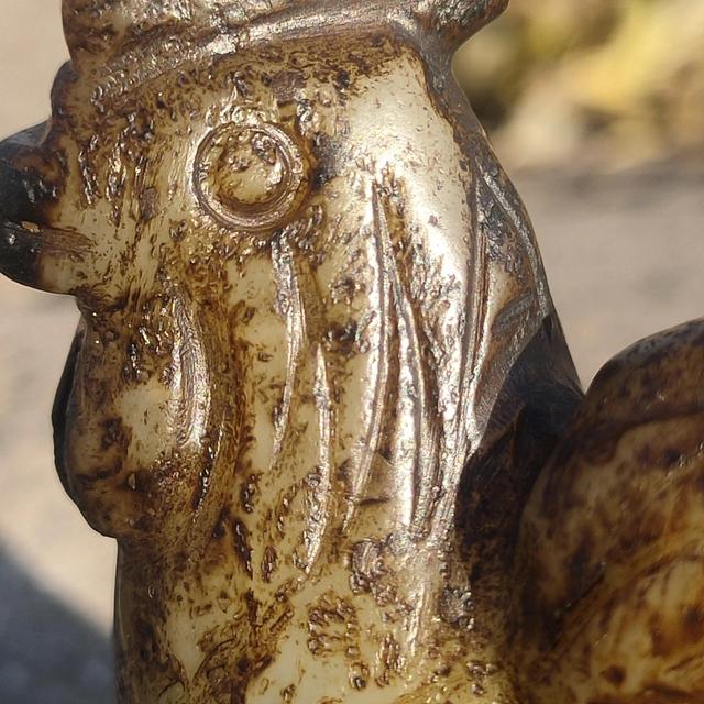 鸡的霸气语录，山鸡霸气语录（替俺的小公鸡辩解两句）