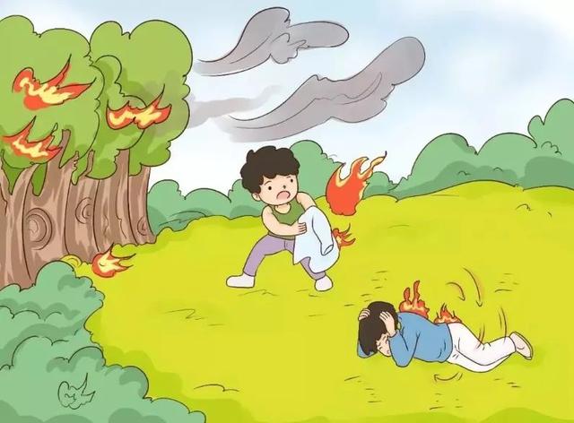 关于保护森林的一段话，关于保护森林的一段话总结（森林防灭火丨森林防火）