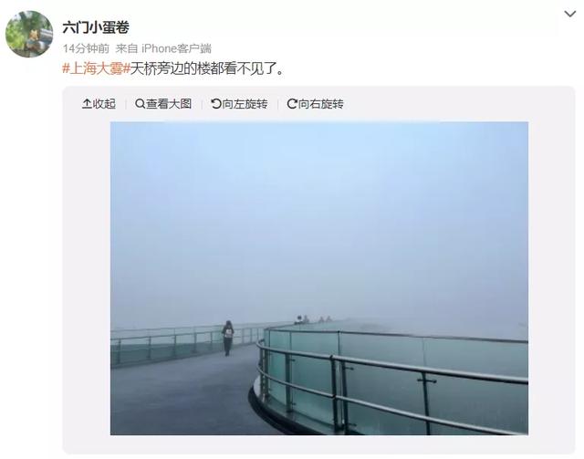上海浦东机场大雾，上海两机场低能见度天气过程统计分析及原因探究（今天上海的雾为什么这么大）