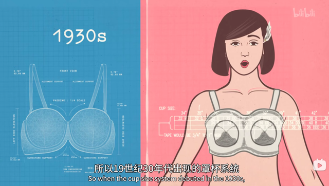 三围是指哪三个地方，三围是指哪几个地方（这些样子都是的乳房）